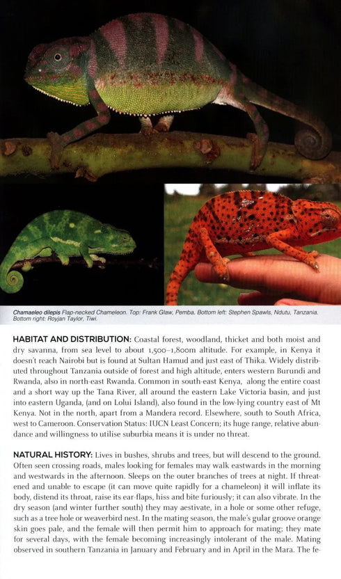 Field Guide to East African Reptiles - Steve Spawls 2018